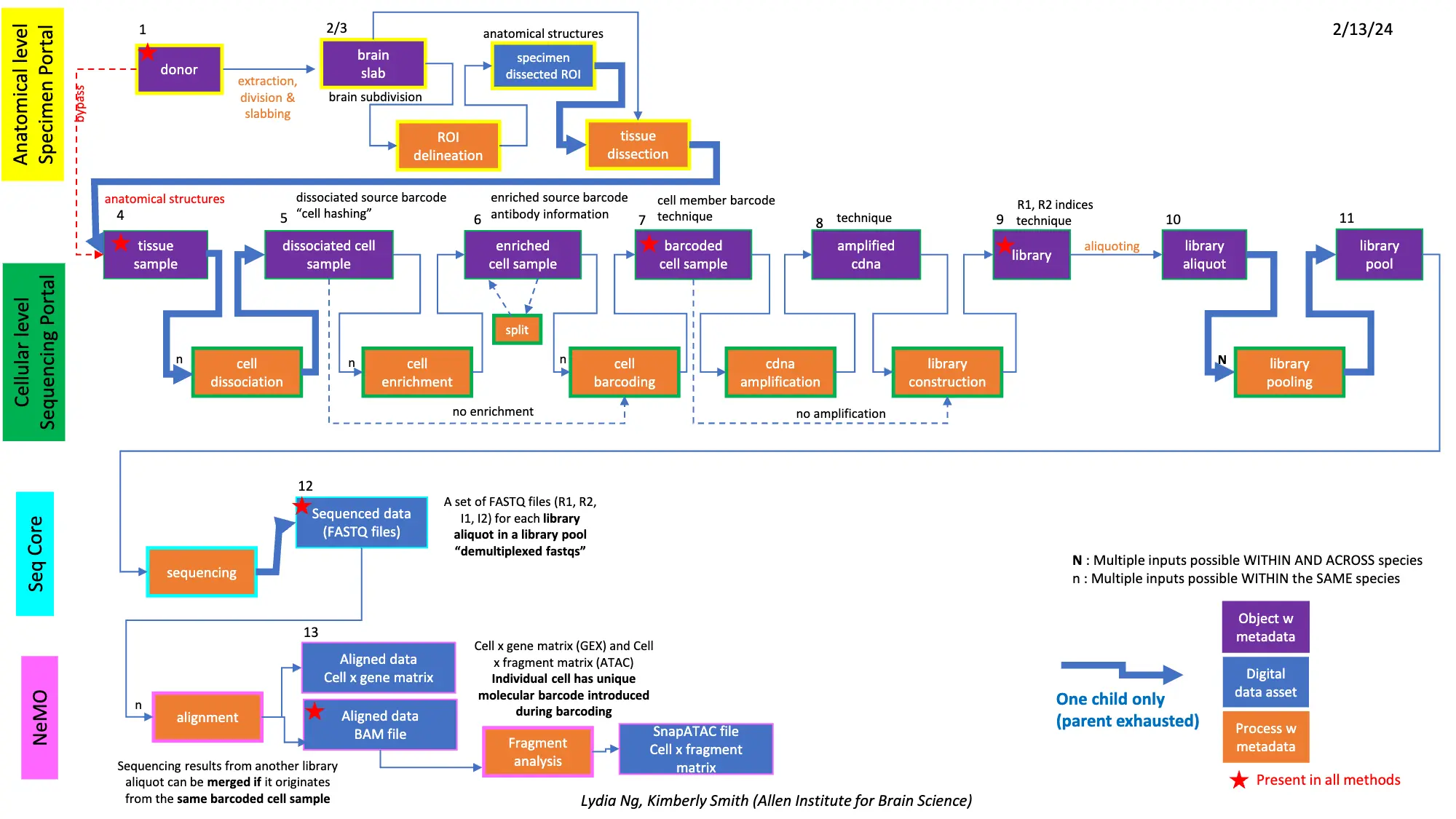 Purple Diagram